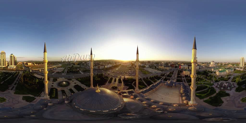 Bird's_eye